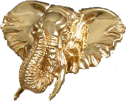 Gold_eelphant+pgehl.png