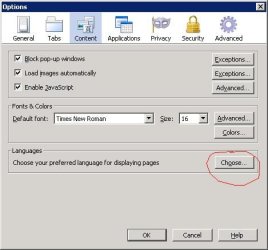 language.JPG