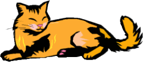 Blinking_anicat2.gif