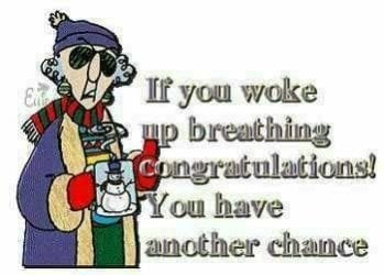 maxine.jpg maxine.jpg