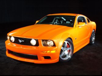 Mustang_in_work.jpg