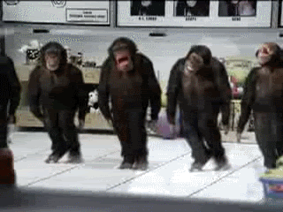 MonkeyRiverDance.gif MonkeyRiverDance.gif