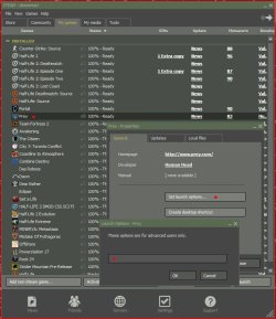 Steam Launch Options.JPG Steam Launch Options.JPG