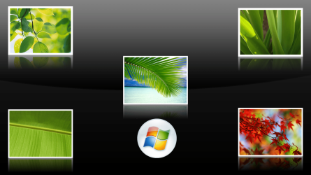 Vista leaves.png