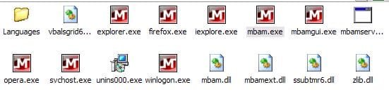 Two.JPG