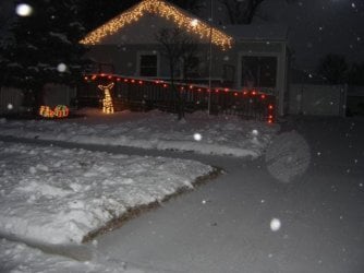 1 (4)_640x480.jpg