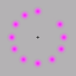eye test.GIF eye test.GIF