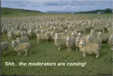 mods1.jpg