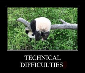 panda-has-technical-difficulties.jpg