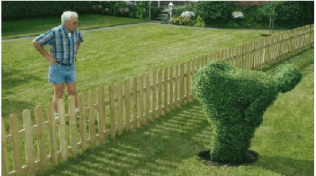 neighbours.PNG