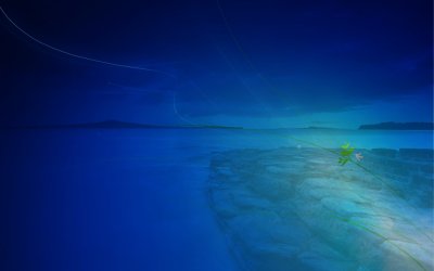 Background 1920x1200 (2).jpg