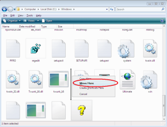 Windows Vista Screen Shot (2).png