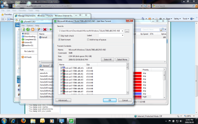 torrent.png