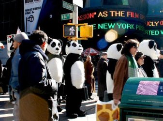 pandasintimesq.jpg pandasintimesq.jpg
