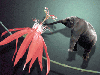 591.gif 591.gif