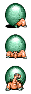 tortolyde.png