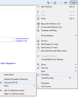 internet explorer.png