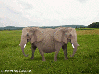 756.gif 756.gif