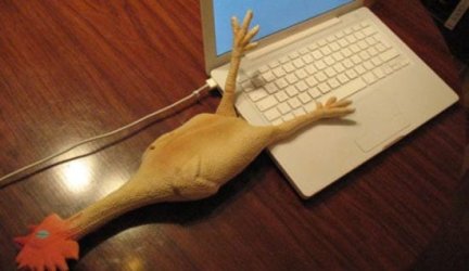 rubber-chicken-usb-drive.jpg