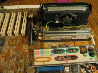 IMG_1430[1].JPG