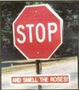 stop_and_smell_the_roses-12194.jpg