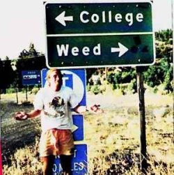 college_or_weed-13186.jpg