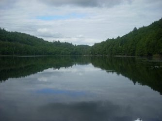 DSCN2570.jpg