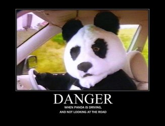pandadriving.jpg pandadriving.jpg