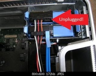 pic2.jpg
