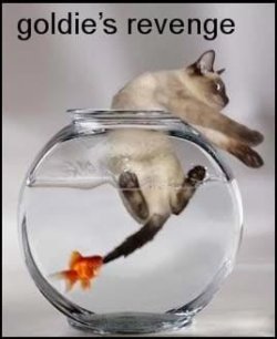 Fish_20Revenge_small.jpg Fish_20Revenge_small.jpg