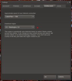 Steam Download Settings.JPG