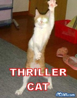 thrillercat.jpg