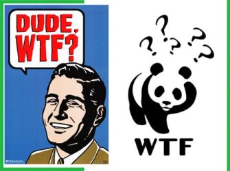 wtf-copy1.jpg