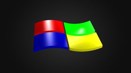 windows1.jpg