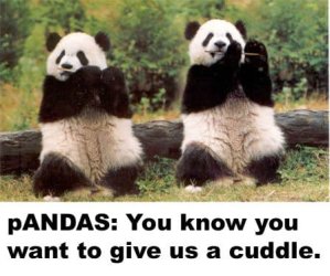 Panda-thanks.jpg