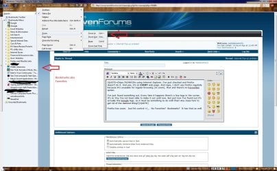 Firefox.jpg