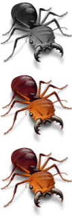 Indiana Jones - Saifu Ant.png