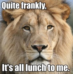 its just lunch.jpg
