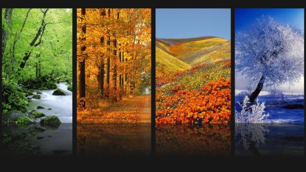 Nature.jpg