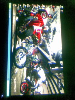 Image006.jpg