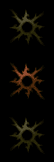 Tribal 12 Orb.png