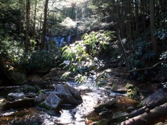 elakala_fall_creek.JPG