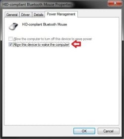 Mouse.jpg