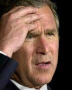 bush-duh.jpg