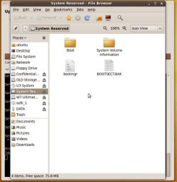 System 100mb2.jpg