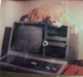 TRS-80 02.jpg