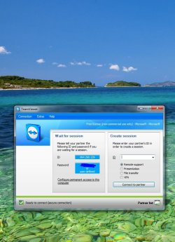 TeamViewer_wait.JPG
