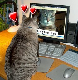 Hearts 3.jpg Hearts 3.jpg