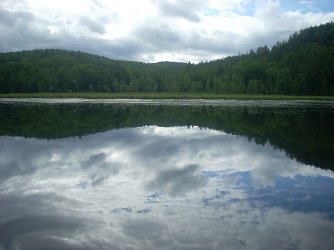 DSCN2571.jpg