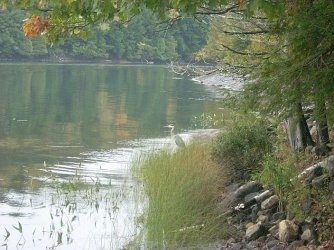 DSCN2361.jpg